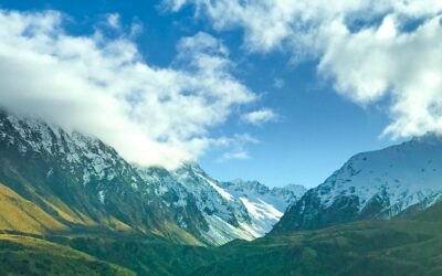 Top Auto Accessories for Performance & Driving Enhancements